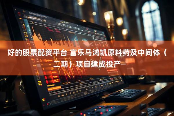好的股票配资平台 富乐马鸿凯原料药及中间体（二期）项目建成投产