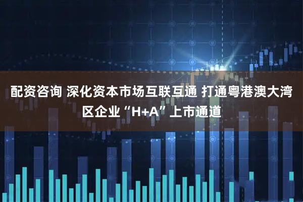 配资咨询 深化资本市场互联互通 打通粤港澳大湾区企业“H+A”上市通道